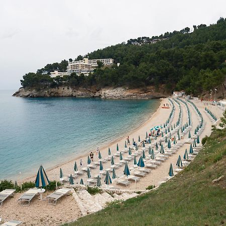 La Finestra Sul Mare - Antonella Apartment Vieste Exteriér fotografie